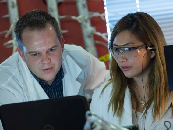 Scientists working in lab