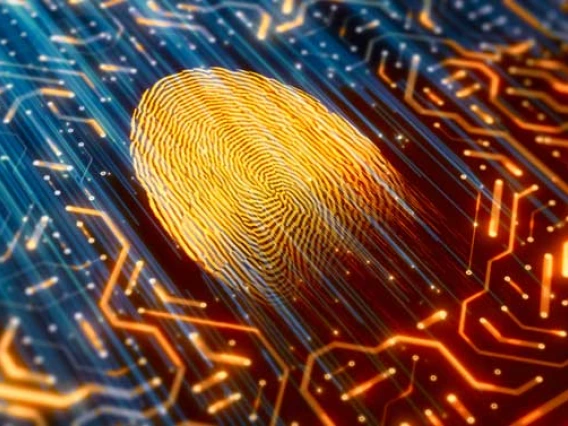 Digital image of fingerprint