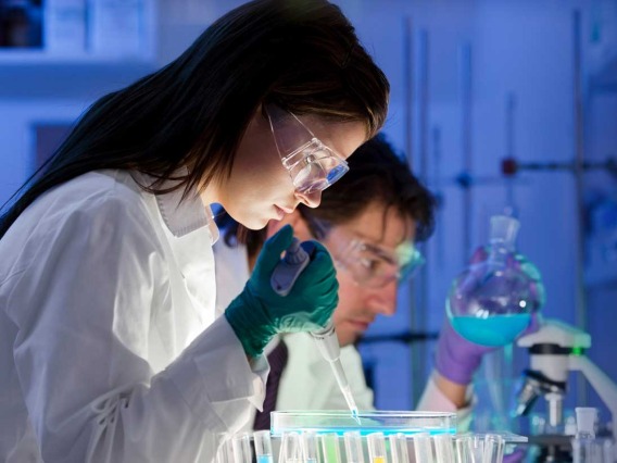 Scientist injecting with pipette