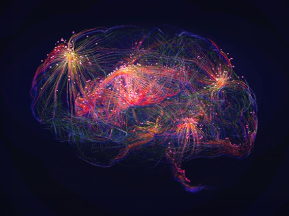 Electronic imaging of the human brain