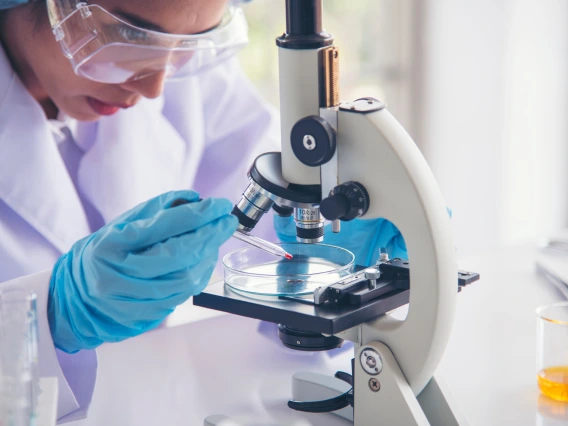 A scientist wearing protective goggles and blue gloves uses a pipette to transfer a red liquid into a petri dish under a microscope, conducting laboratory research in a bright, clinical setting.