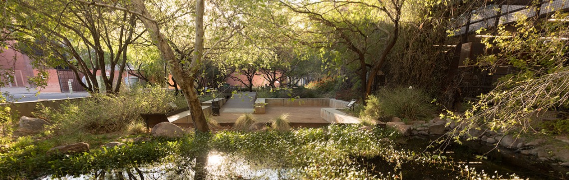 Shaded courtyard on campus