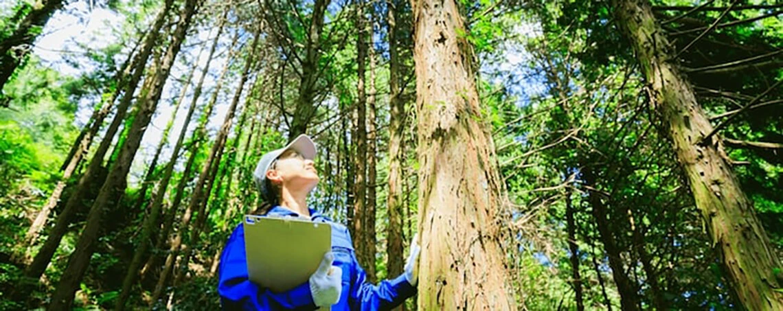 Environmental engineer working in a forest