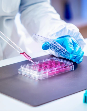 Immunobiologist working in a laboratory 