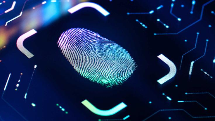 digitally rendered fingerprint