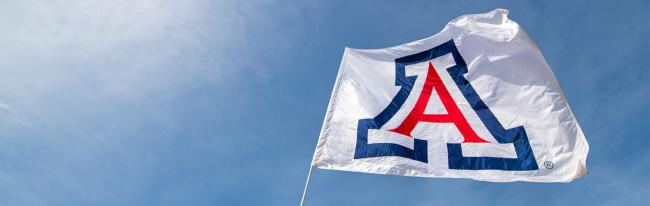 University of Arizona flag