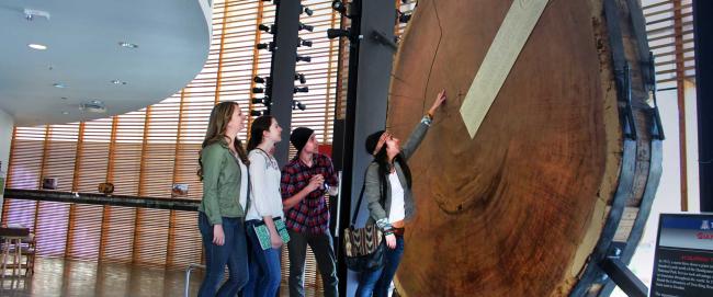 Group of students in the Tree Ring Lab
