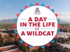 A day in the life of a Wildcat